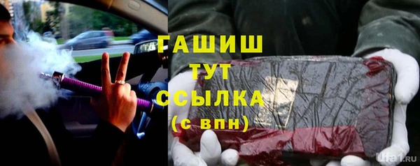 хмурый Няндома