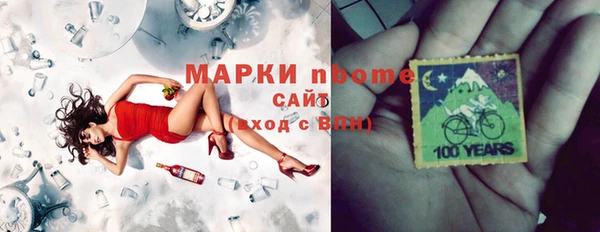 хмурый Няндома