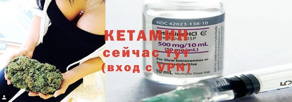 хмурый Няндома