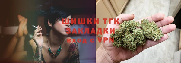 хмурый Няндома