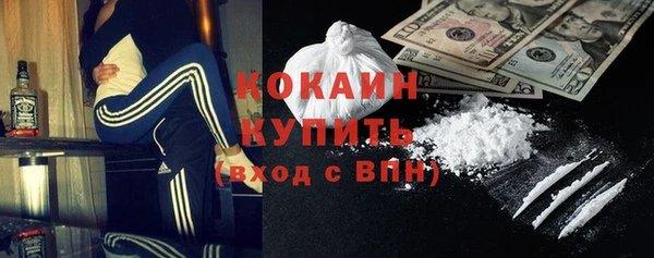 хмурый Няндома