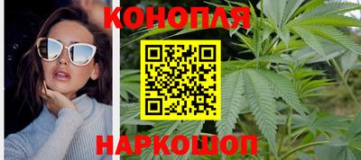 твердый Будённовск