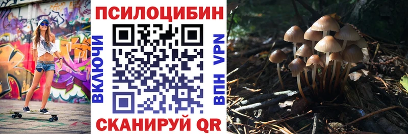 купить закладку  Ейск  Псилоцибиновые грибы мицелий 