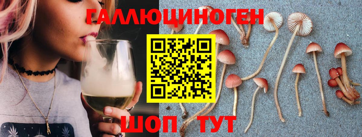 Псилоцибиновые грибы мицелий  Галлюциногенные грибы ЛСД  закладки  Ейск 