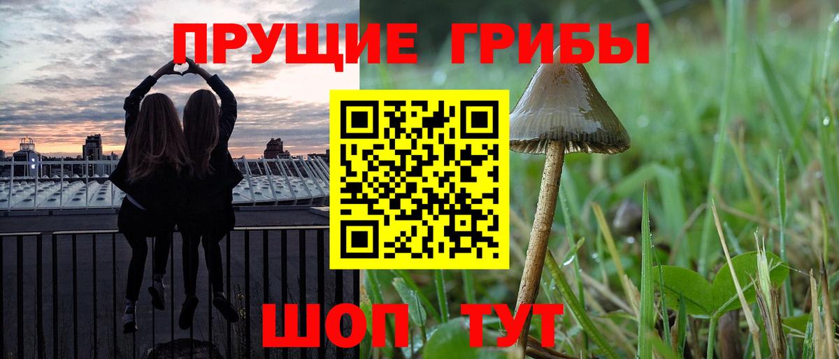 Псилоцибиновые грибы Psilocybine cubensis  Вход с VPN  Псилоцибиновые грибы Magic Shrooms  Ейск 